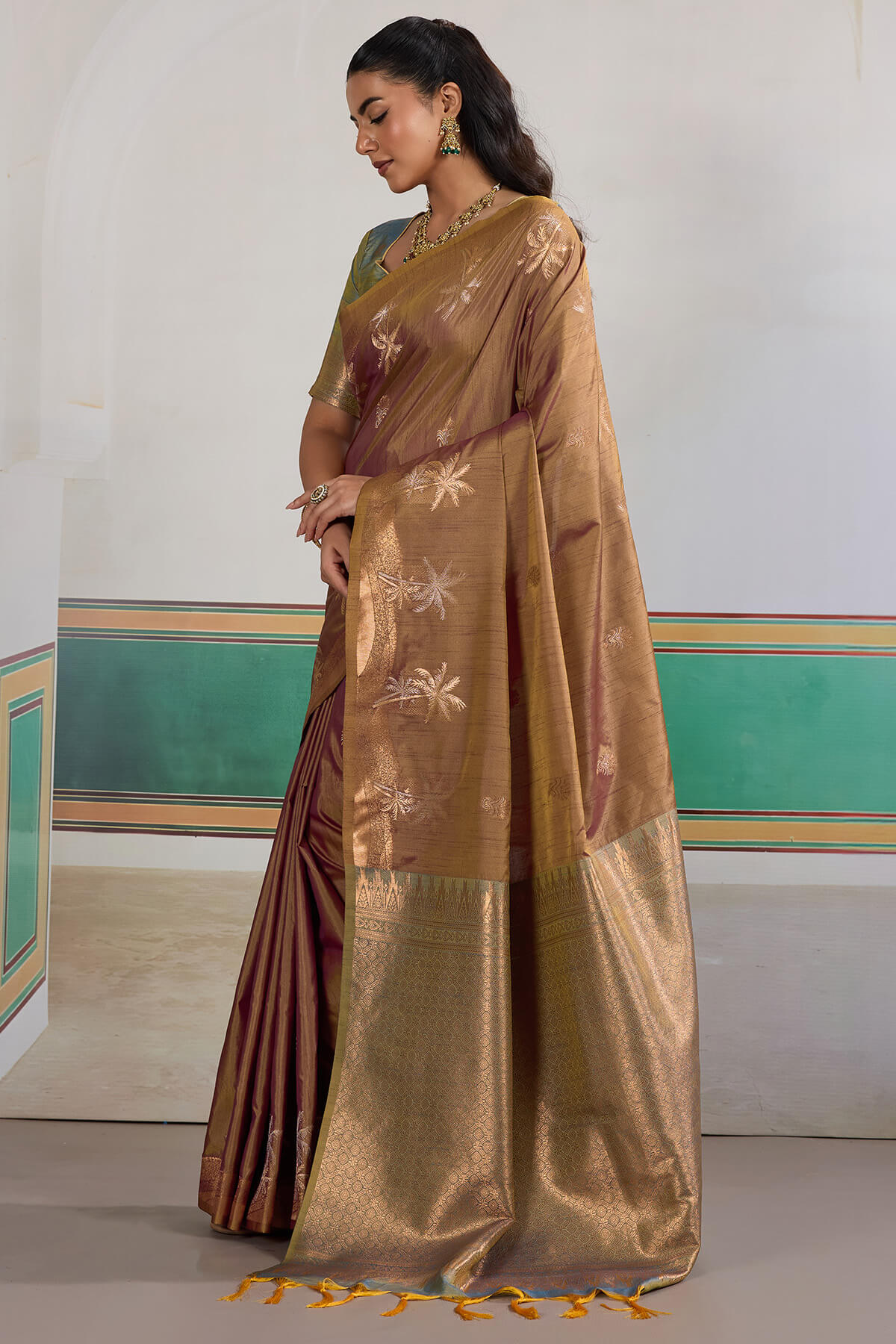 Magnetic Brown Banarasi Tussar Silk Saree With Bewitching Blouse Piece